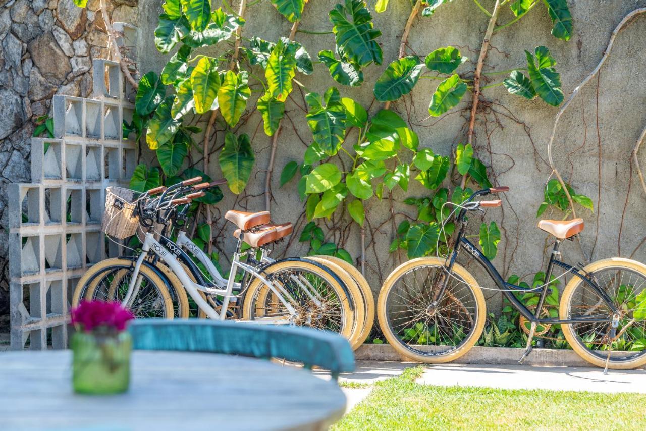 Villa Pantai Boutique Hotel Maragogi Ngoại thất bức ảnh